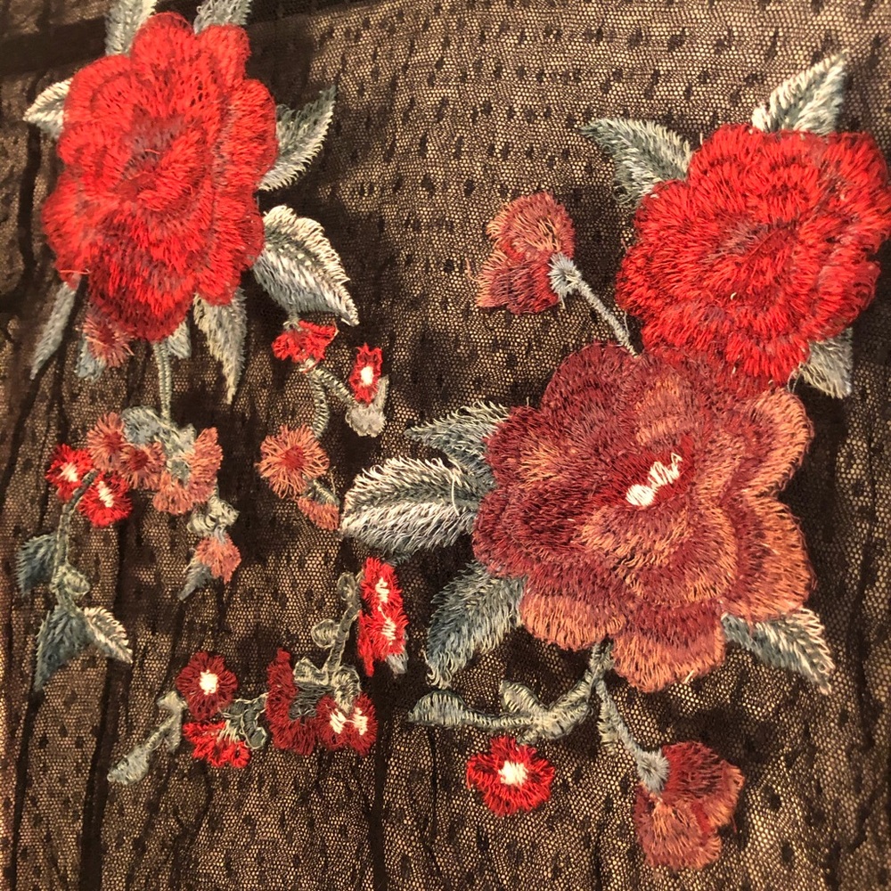 American Eagle Long Sleeve Sheer Embroidered Shirt